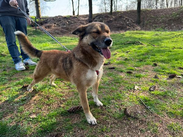 Anais, La Nostra Splendida Lupetta